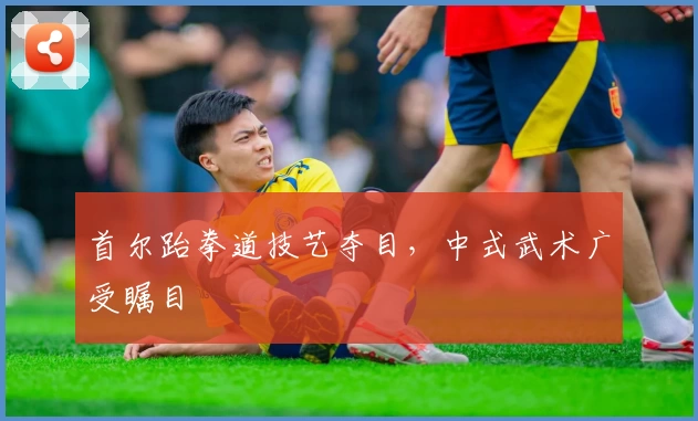 首尔跆拳道技艺夺目,中式武术广受瞩目