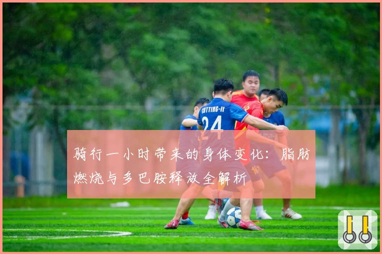 骑行一小时带来的身体变化：脂肪燃烧与多巴胺释放全解析