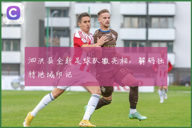 泗洪县全新足球队徽亮相，解码独特地域印记